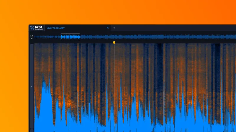 iZotope RX 12 Standard